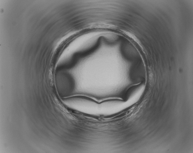 X0000066120971200604071908