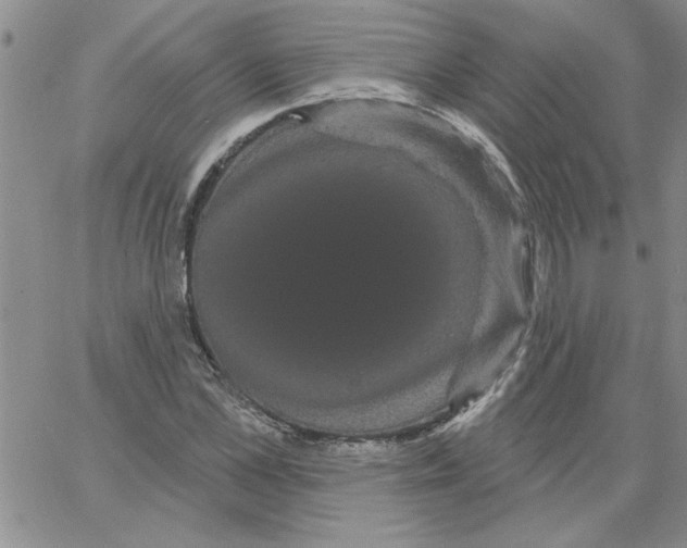 X0000066120973200604071908