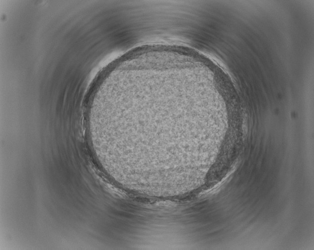 X0000066120974200604071908