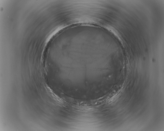 X0000066120975200604071908