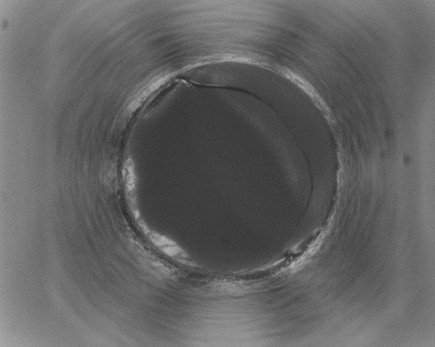 X0000066120977200604071908