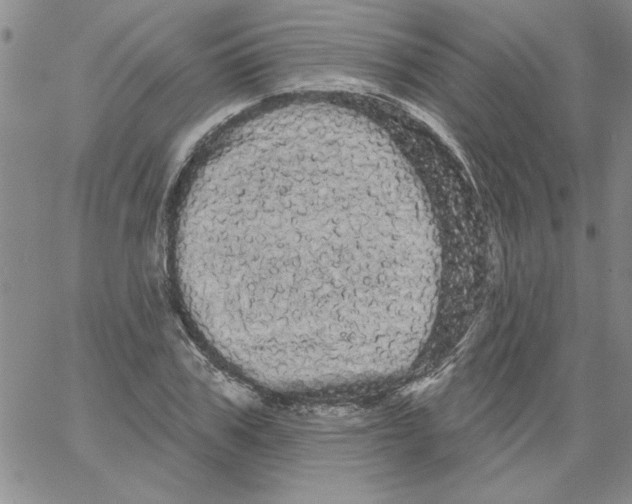 X0000066120979200604071908