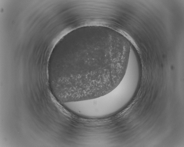 X0000066120980200604071908