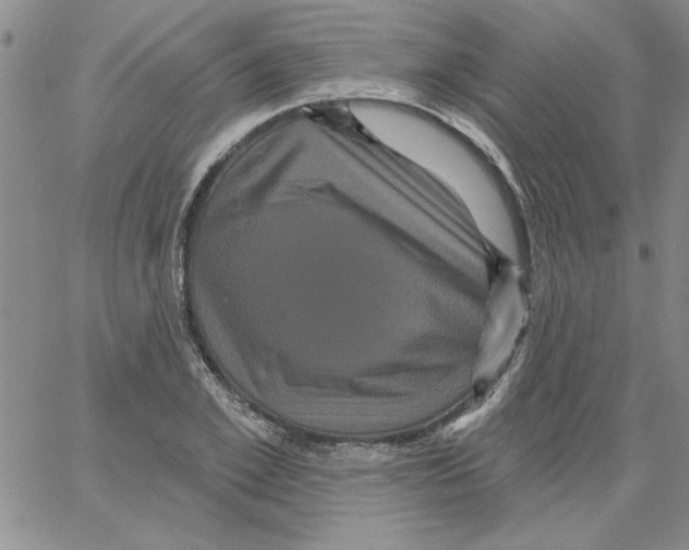 X0000066120981200604071908