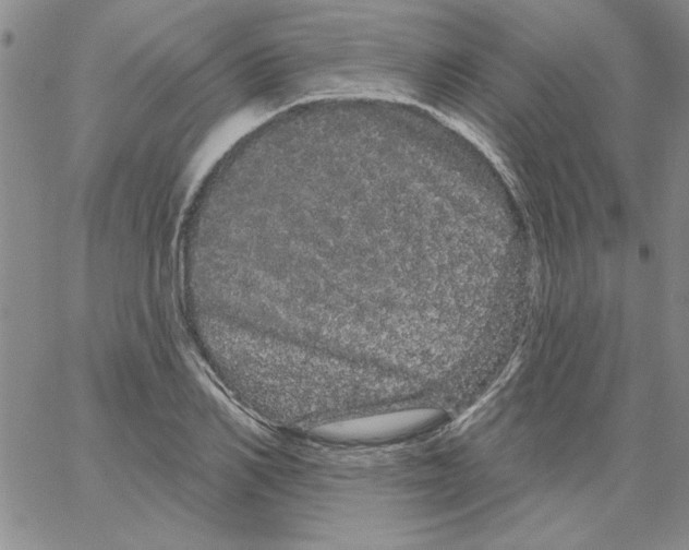 X0000066120982200604071908