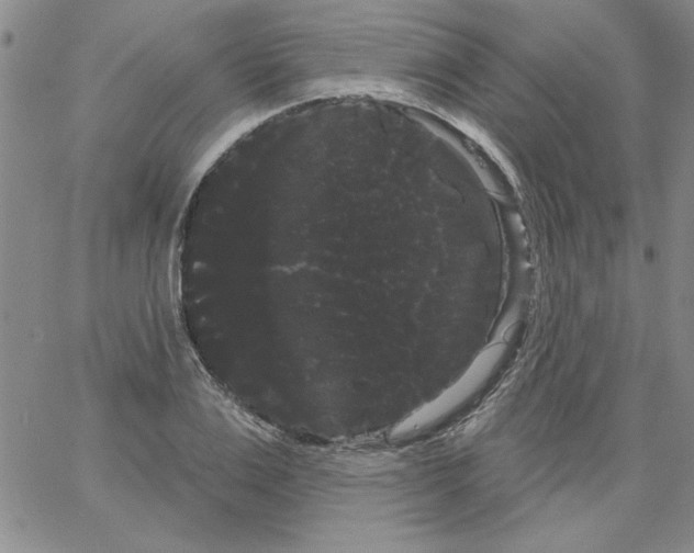 X0000066120983200604071908