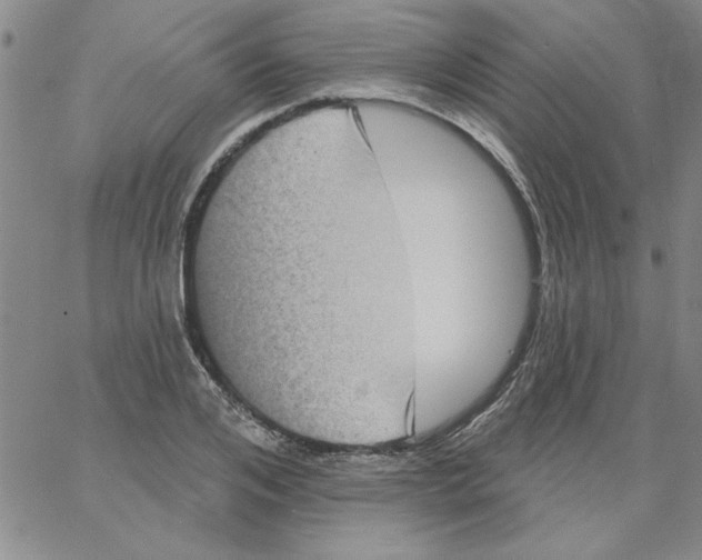 X0000066120984200604071908