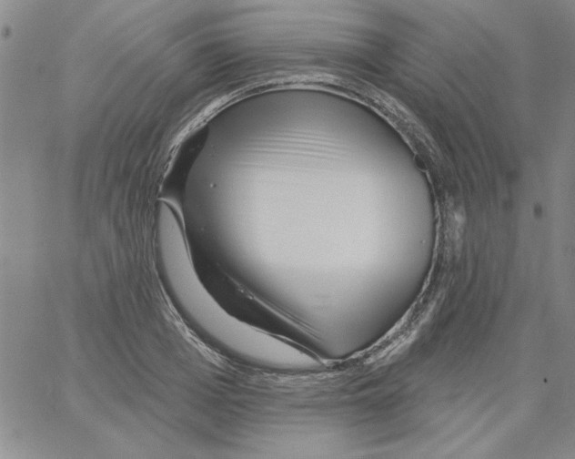 X0000066120985200604071908