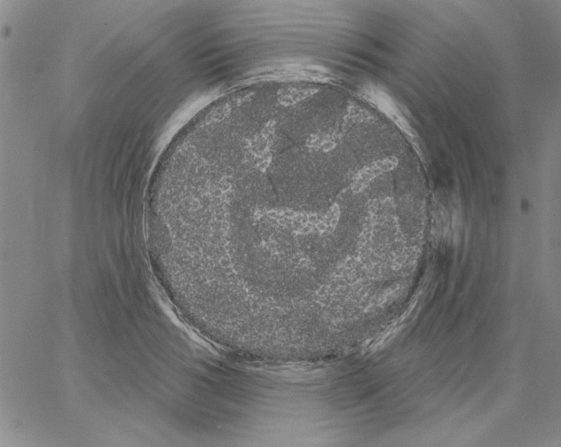 X0000066120986200604071908