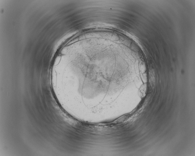 X0000066120987200604071907