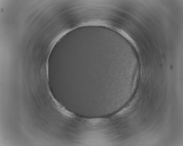 X0000066120988200604071907