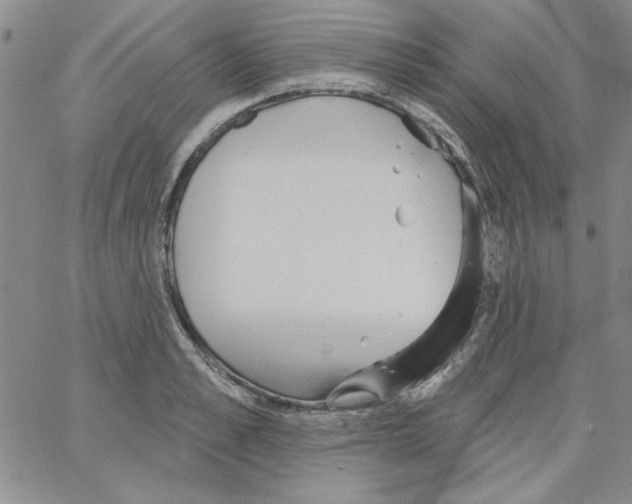 X0000066120989200604071907