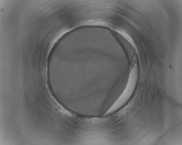 X0000066120992200604071907