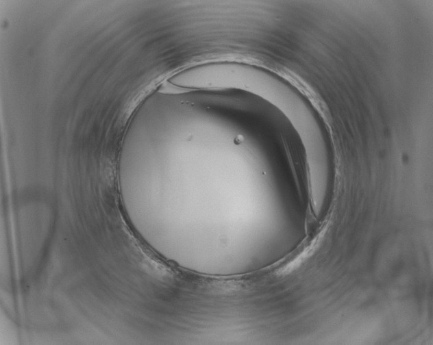 X0000066120993200604071907