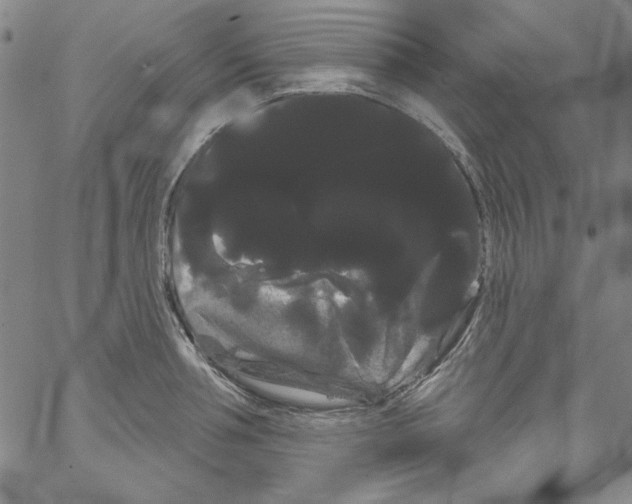 X0000066120994200604071907