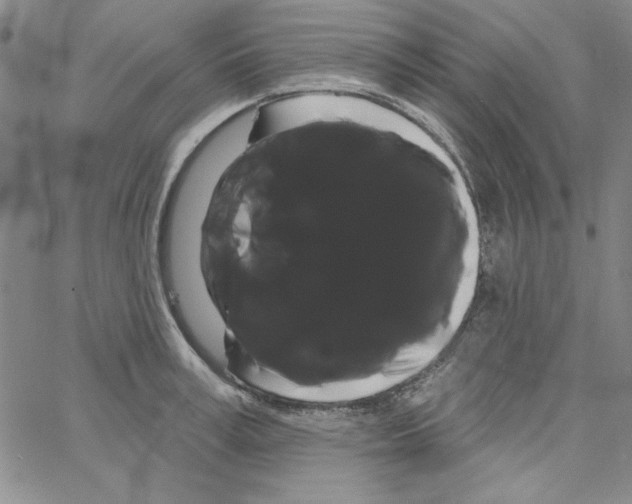 X0000066120995200604071907