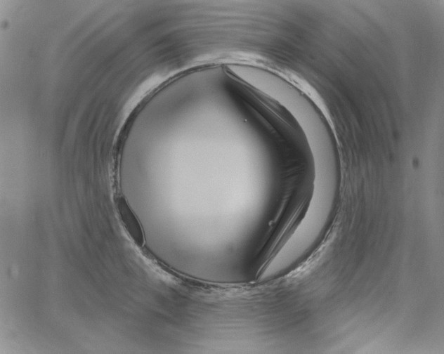 X0000066120997200604071907