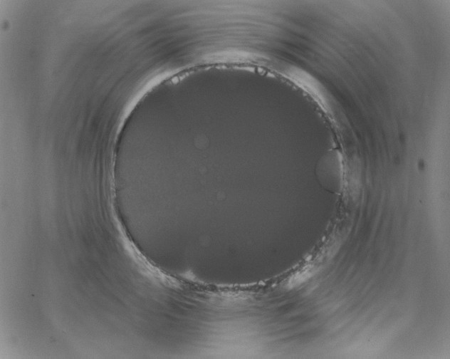 X0000066121000200604071907