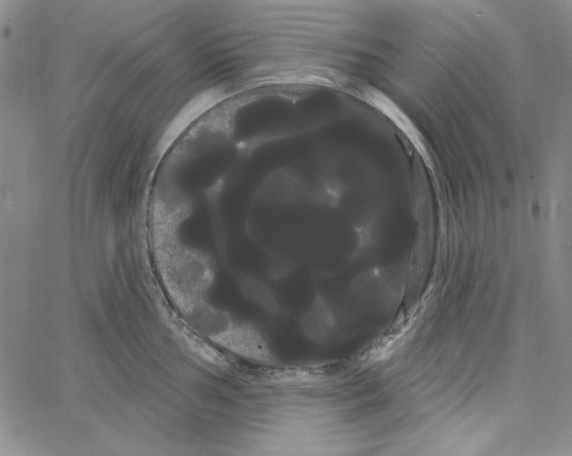 X0000066121002200604071907