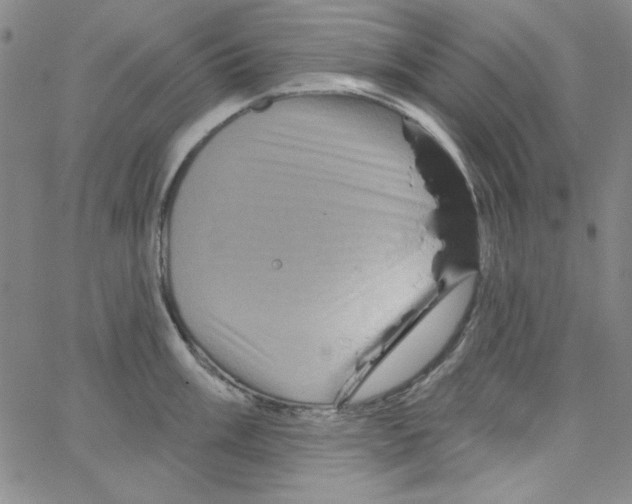 X0000066121003200604071907