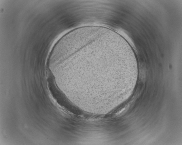 X0000066121004200604071907