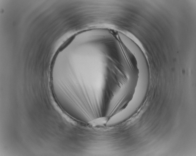 X0000066121005200604071907