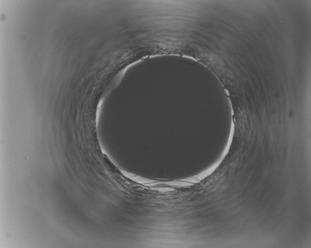 X0000066121009200604071906