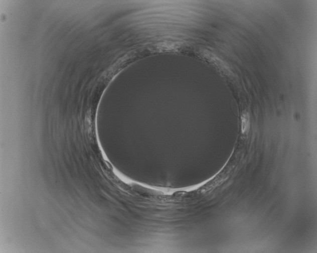 X0000066121011200604071906