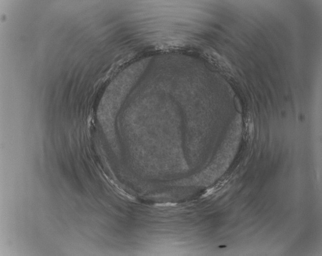 X0000066121012200604071906