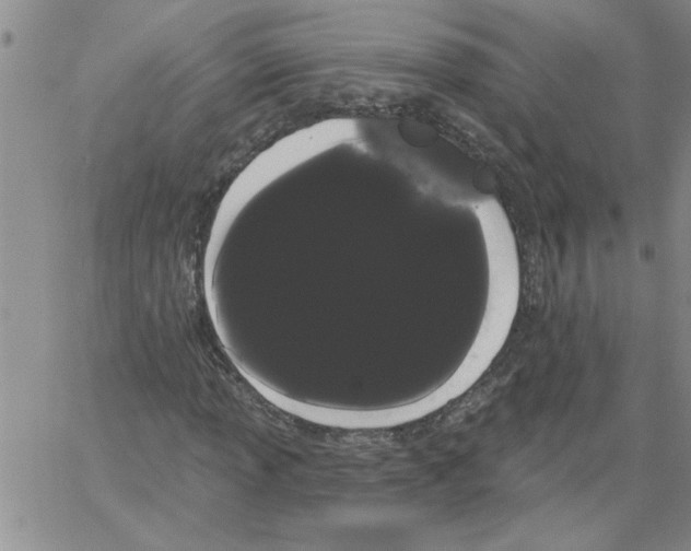 X0000066121013200604071906