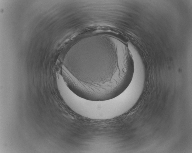 X0000066121014200604071906