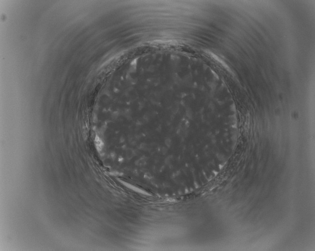 X0000066121015200604071906