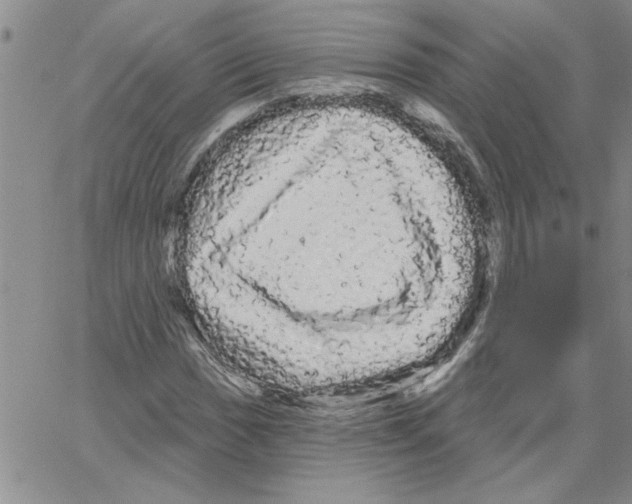 X0000066121017200604071907