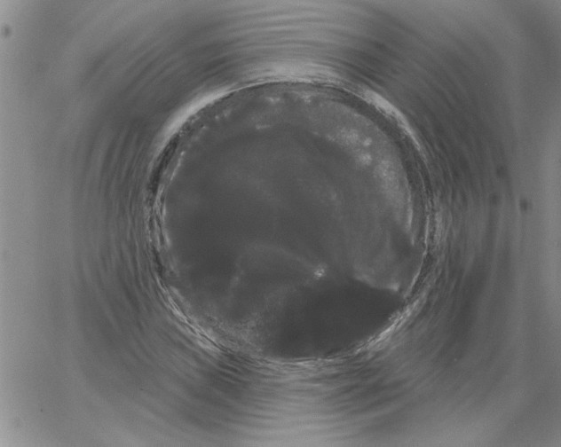 X0000066121019200604071907