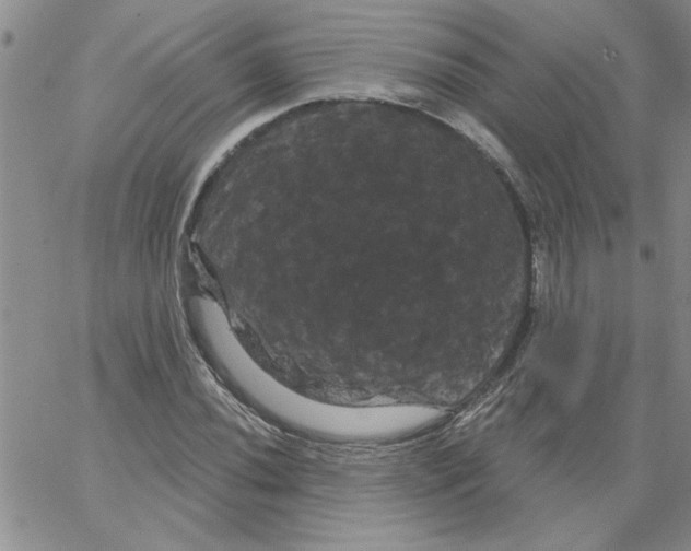 X0000066121020200604071907