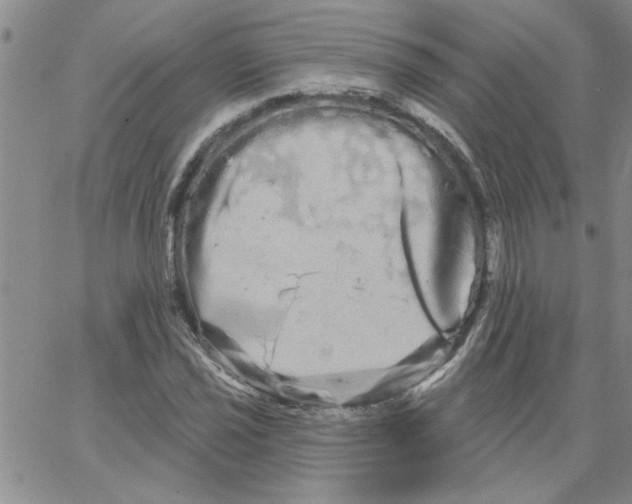 X0000066121021200604071907