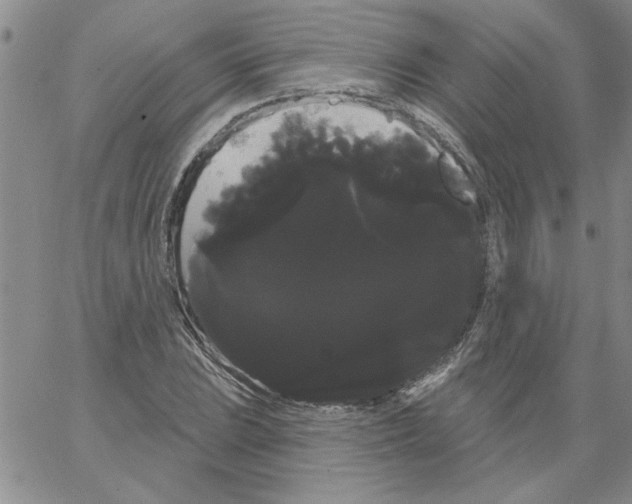 X0000066121023200604071907