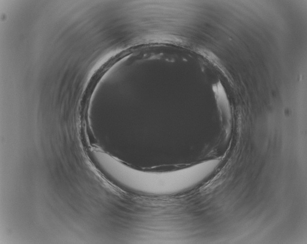 X0000066121024200604071907