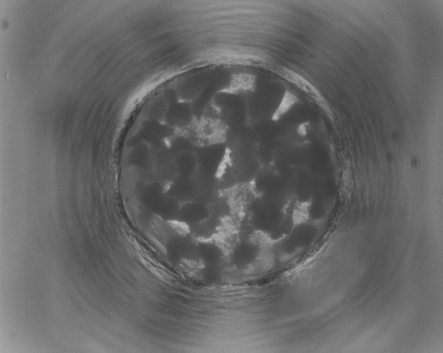 X0000066121027200604071907