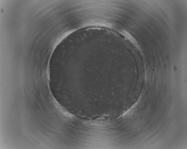 X0000066121028200604071907