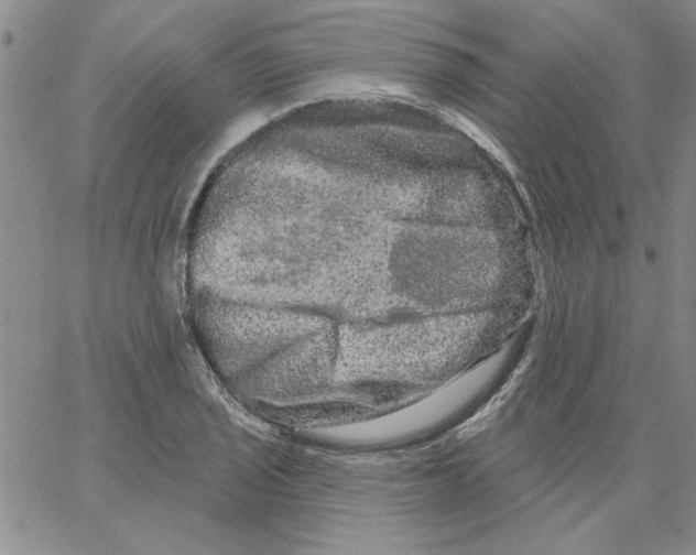 X0000066121029200604071907