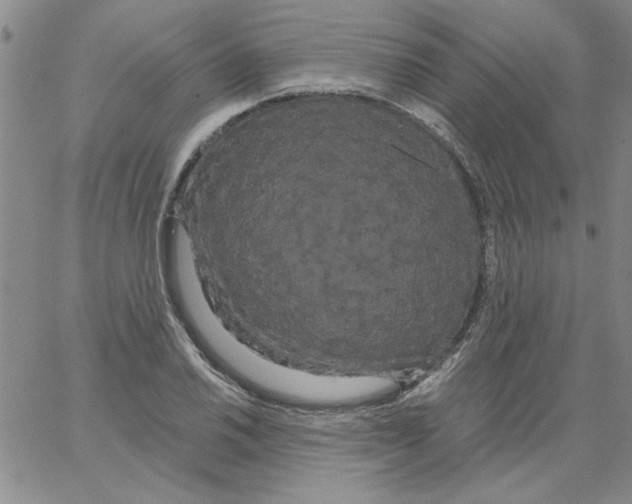 X0000066121030200604071907