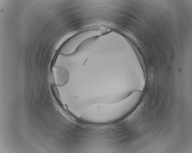 X0000066121034200604071907