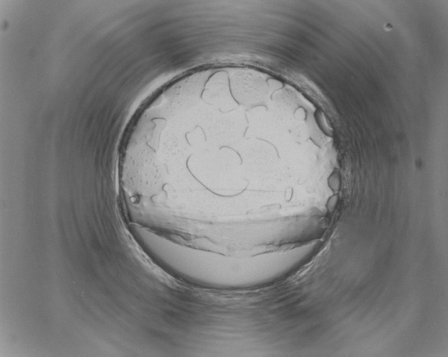 X0000066121036200604071907