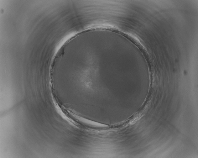 X0000066121038200604071907