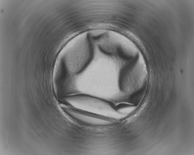 X0000066121041200604071907