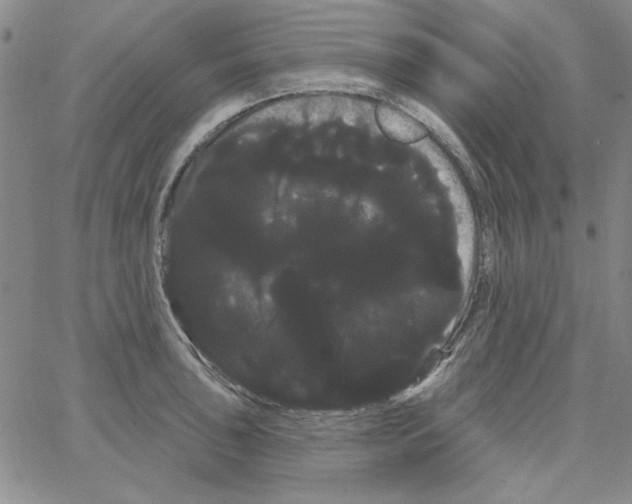 X0000066121043200604071907