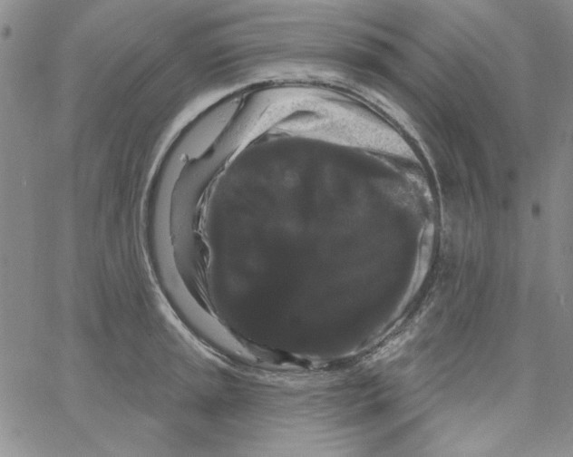 X0000066121045200604071907