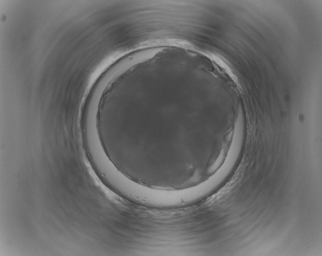 X0000066121046200604071907