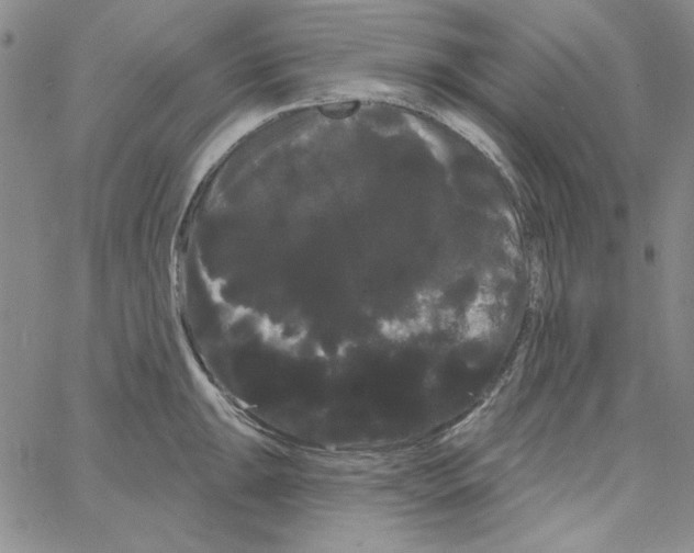 X0000066121047200604071907